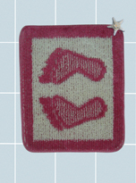 Tek Banyo Paspas� > 45x55